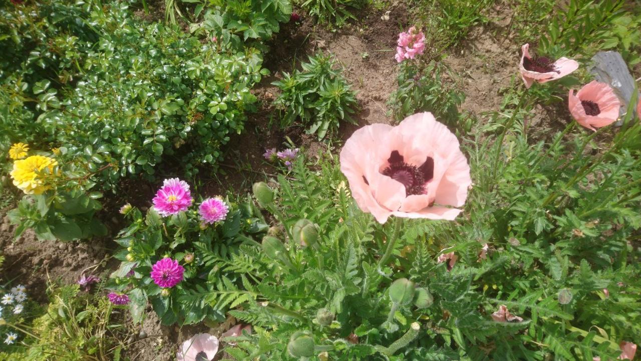 le bonheur à portée de mains Bergerac Extérieur photo
